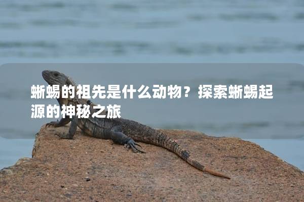 蜥蜴的祖先是什么動物？探索蜥蜴起源的神秘之旅